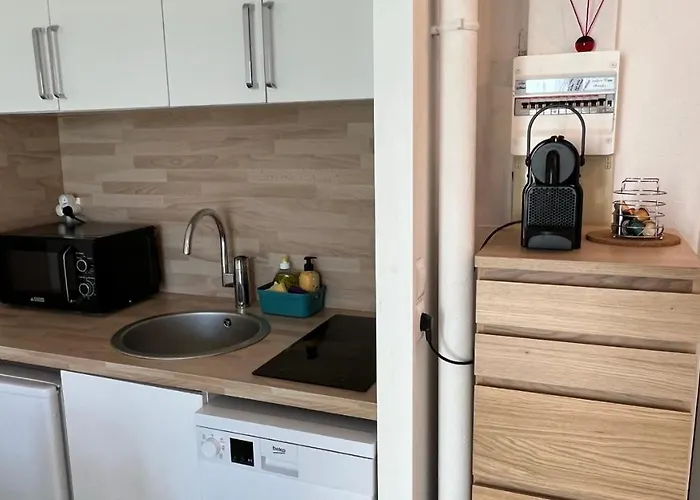 Appartement 2 Pieces En Rez-De-Chaussee Dans Residence Avec Acces Direct A La Plage